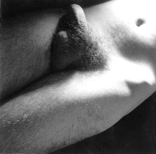 male nude equivalent