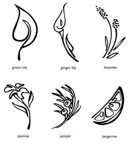 my illustrations for individual flavor marks