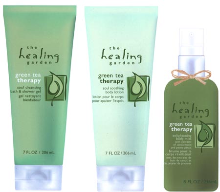 green tea layout sketch