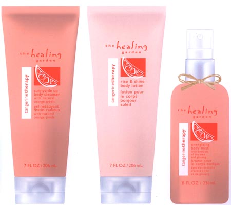 tangerine layout sketch